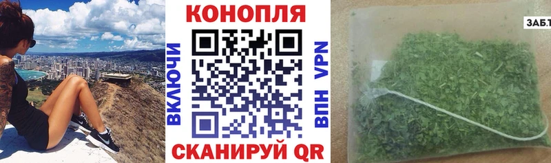 Канабис SATIVA & INDICA omg tor shop клад купить наркотик Кохма
